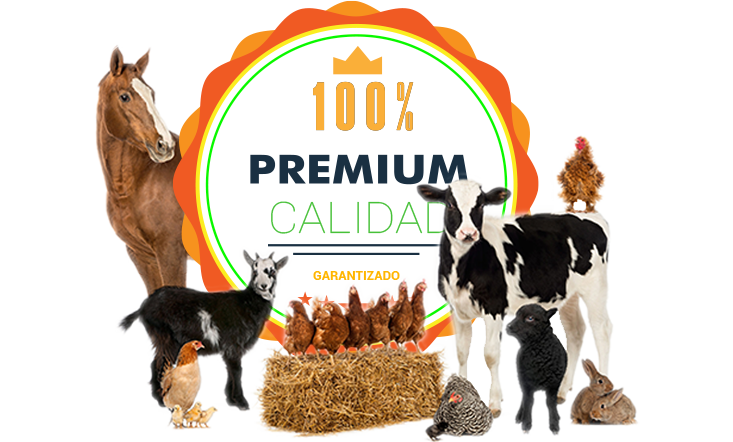 Alimentos Naturales Spa